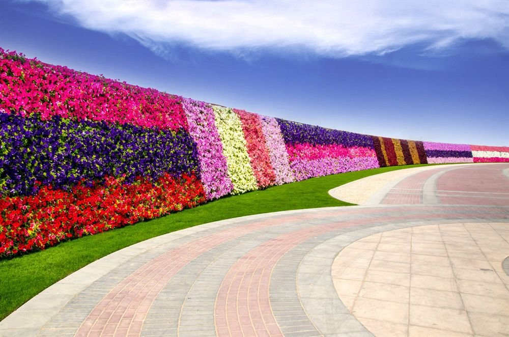 Dubai Miracle Garden амфитеатр