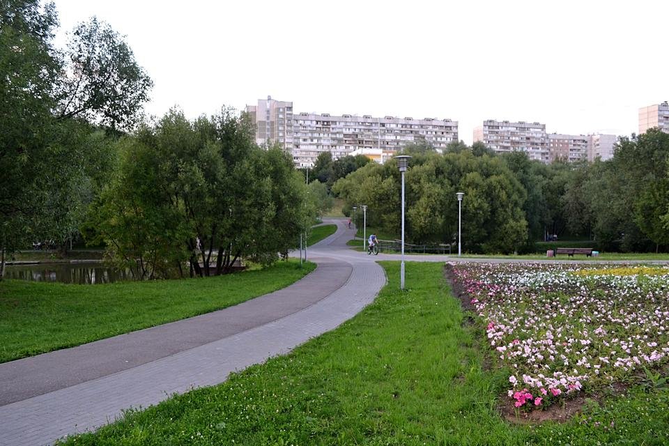 Москва северное бутово. Парк Северное Бутово. Северное Бутовский парк. Лес Северное Бутово. Бутовский парк Знаменские Садки.