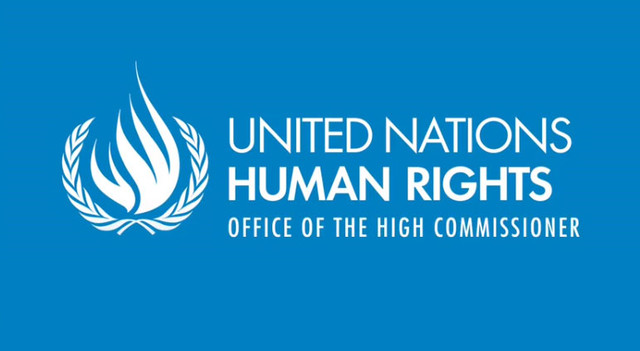United Nation- Universal Declaration of Human Rights: The Definitive ...