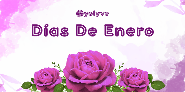 Días De Enero_20260106_081438_0000.png