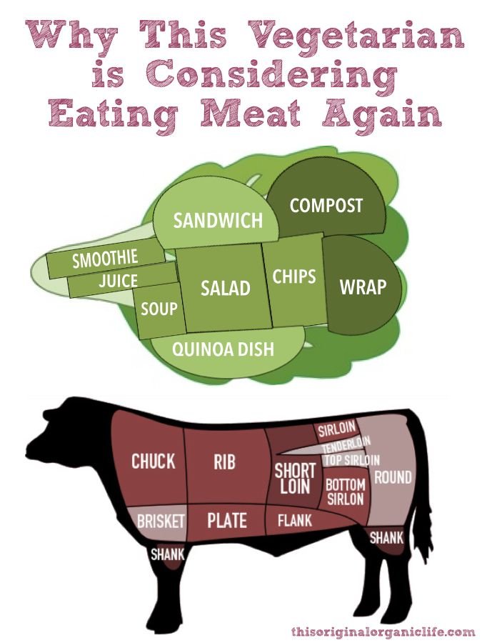 Vegetarians eat meat