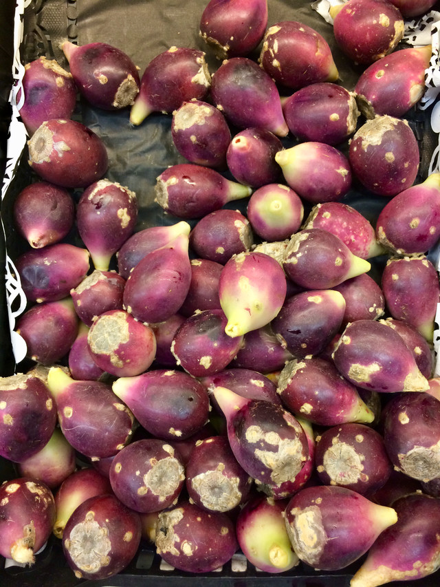 Tuno Indio: I Get Messy Sampling The Crazy Cactus Super Fruit!   Steemit