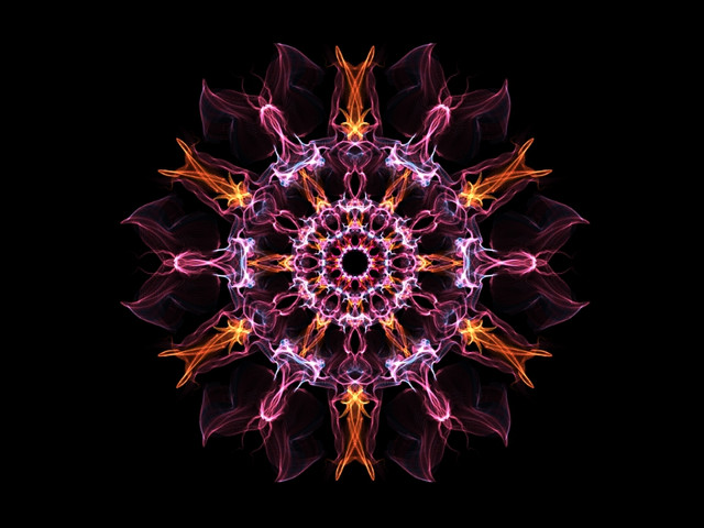 vj.jpg