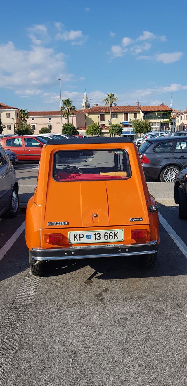 56.jpg