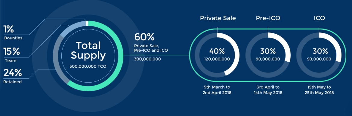 Presale проект это