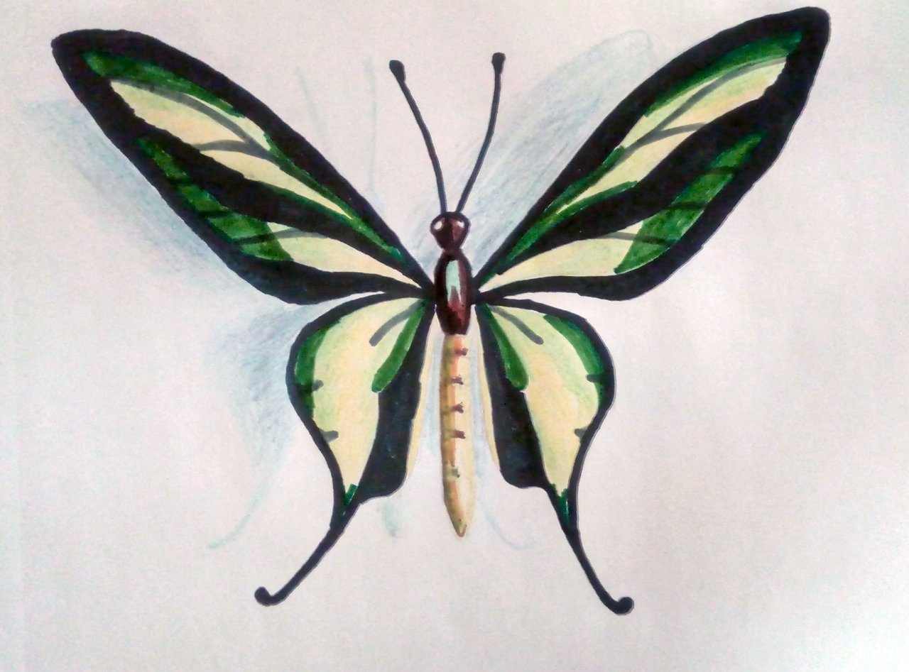 Рисование необычное бабочка