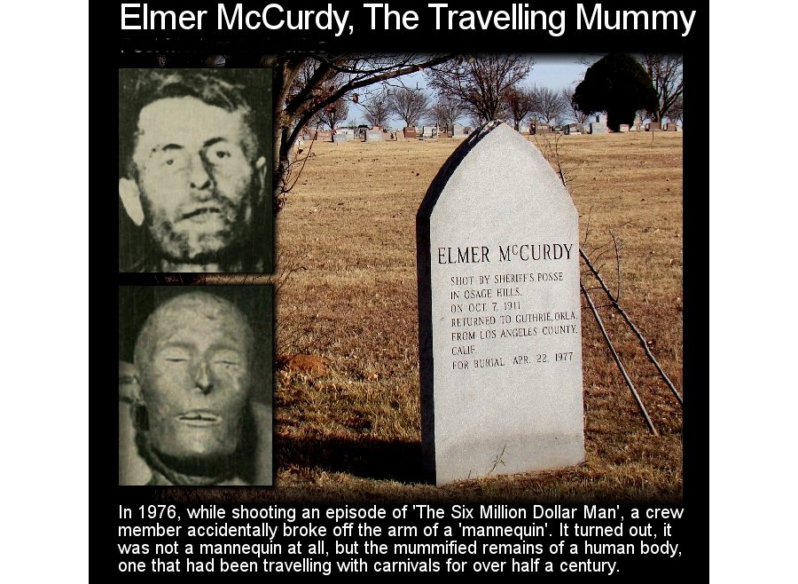 Элмер маккерди. Элмер маккерди на аттракцион. Элмер маккерди. Элмер маккерди в парке развлечений. Элмер маккерди.