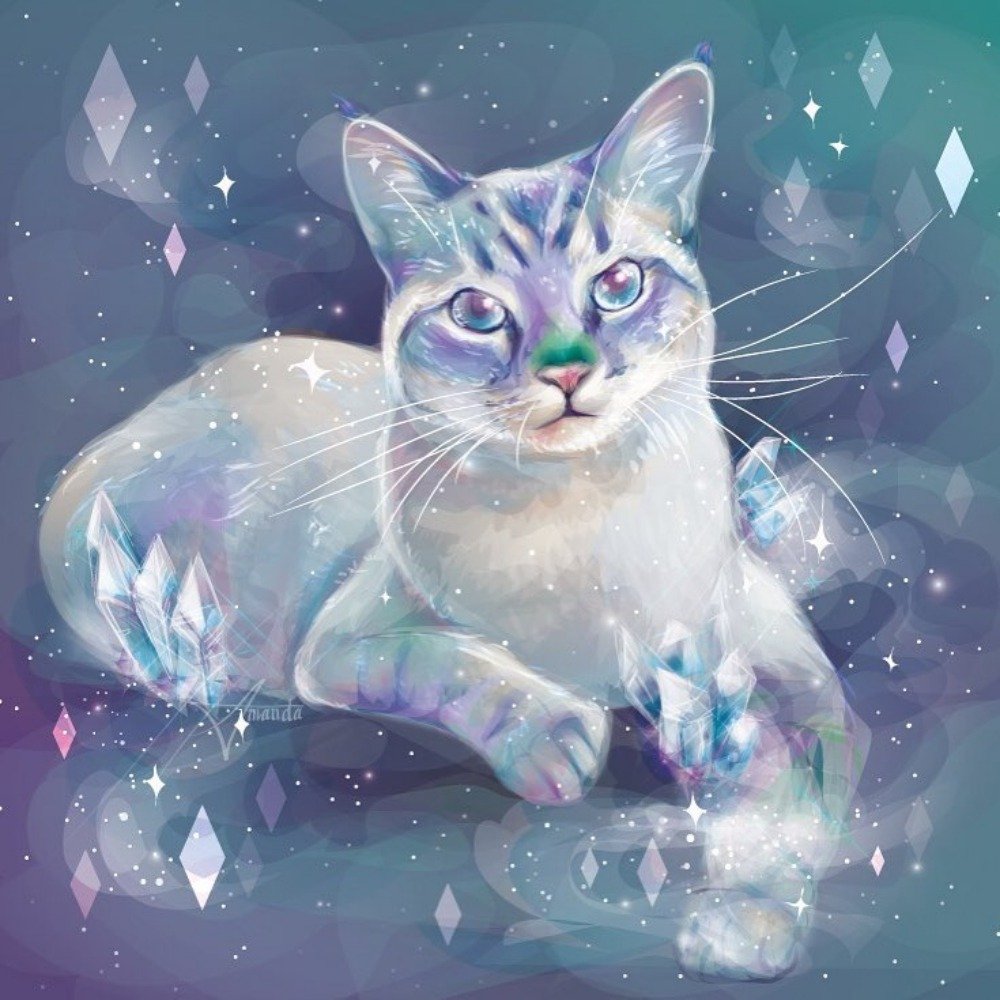 Волшебные котики картинки