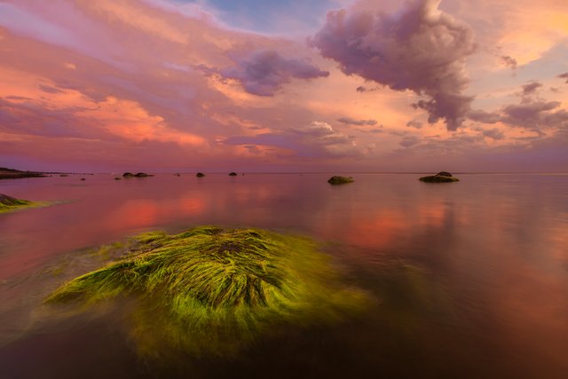Painted-dream.jpg