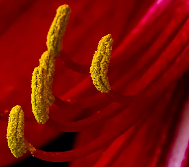 _DSC1558-Edit.JPG