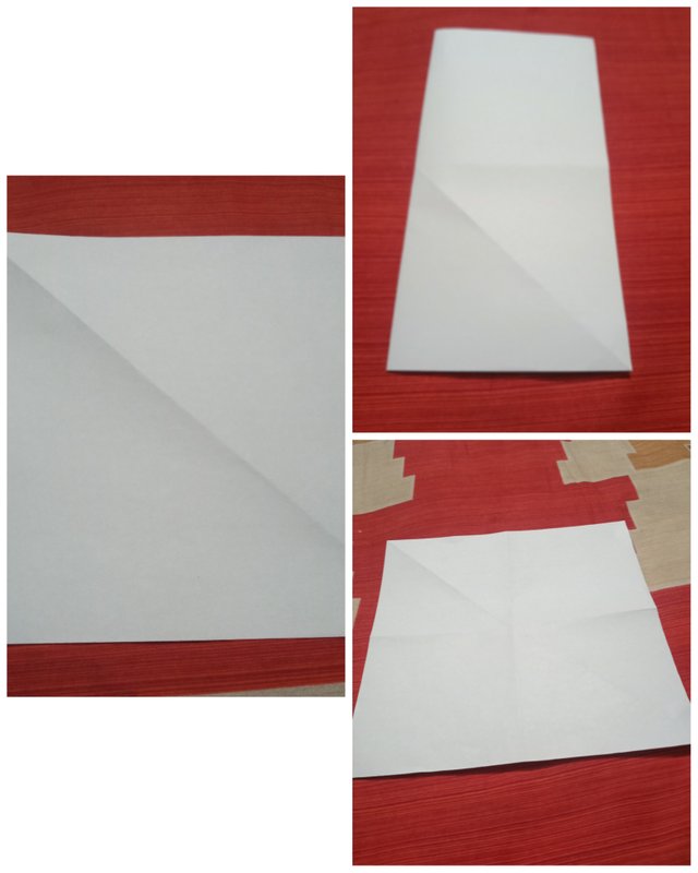 1696361586535.jpg