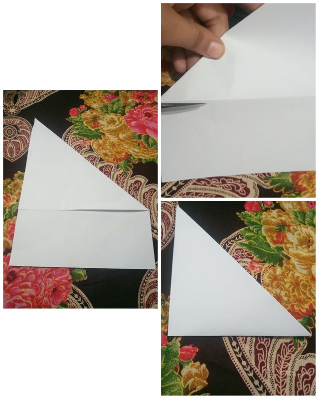 1695493277634.jpg