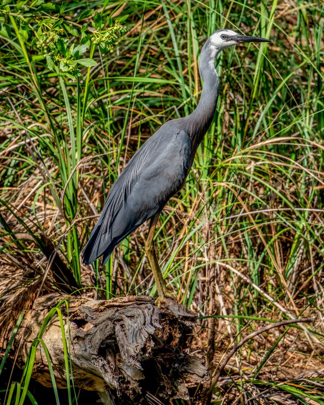 _DSC5404-Edit.jpg