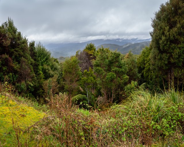_DSC1381-Pano.jpg