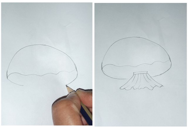 1675178843452.jpg