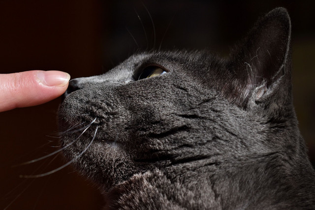 Suzi finger.jpg