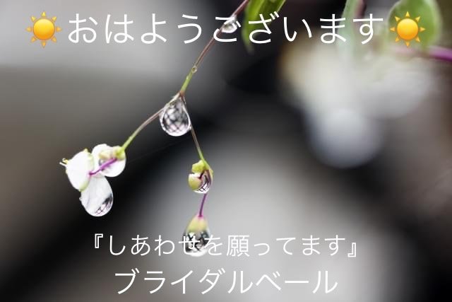 1655686313916.jpg