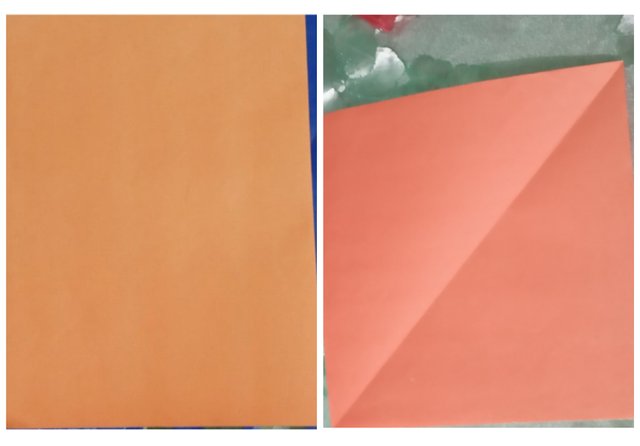 1676303040324.jpg