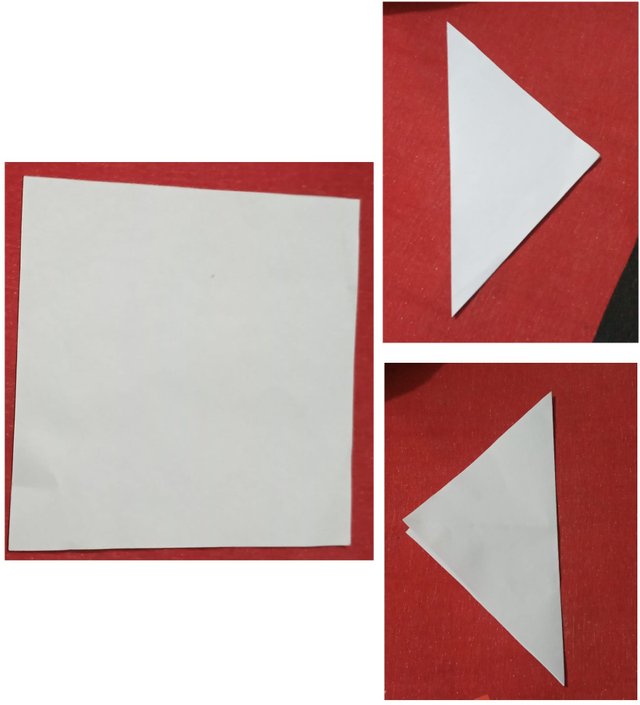 1704879808442.jpg