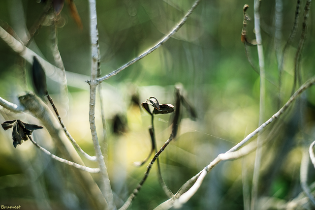 DSC00301-2-ST.png