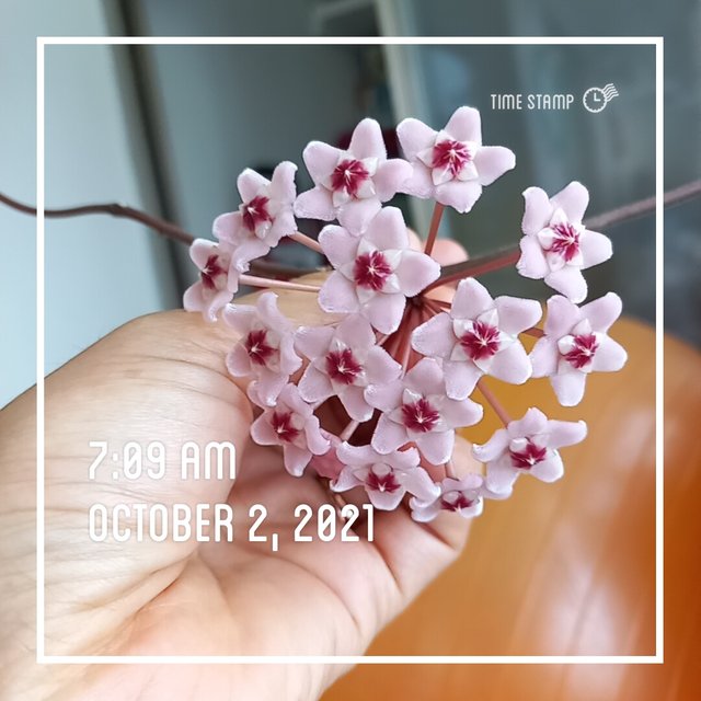 1633126181608.jpg
