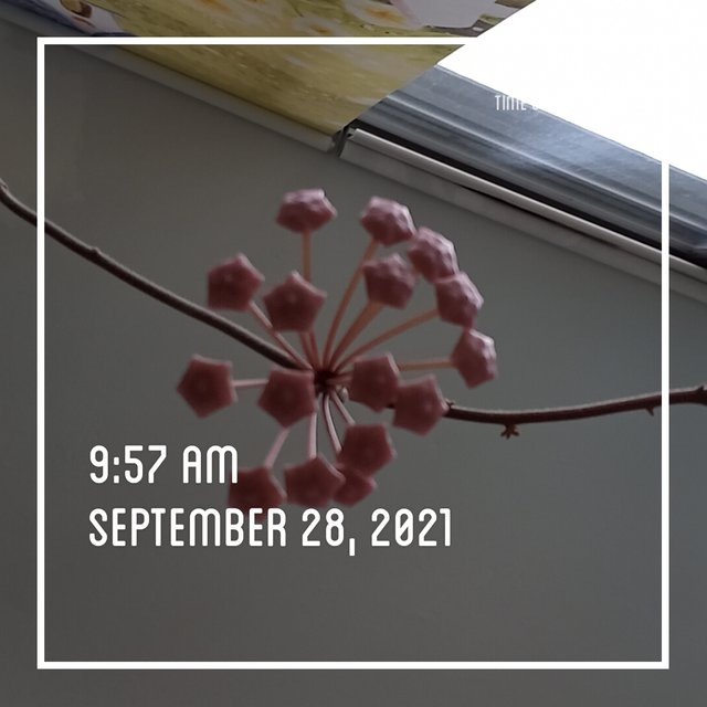 1632790626721.jpg