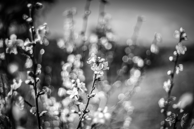 DSC00565-2-WE.png