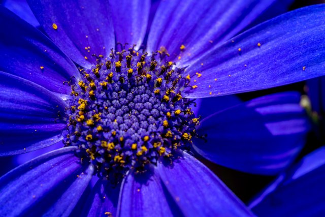 _DSC2824-Edit.jpg