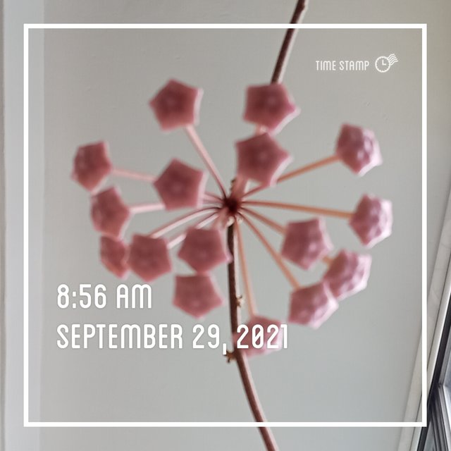 1632873379035.jpg