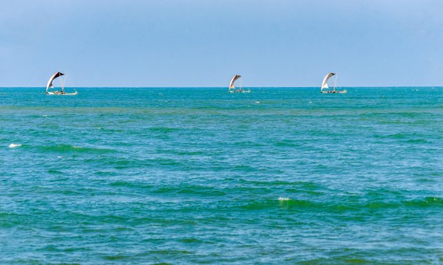 _DSC9288-Edit.JPG