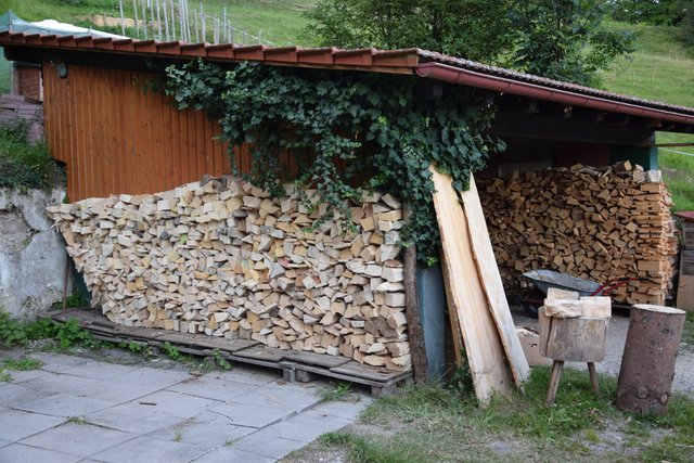 DSC_0008_1200.JPG