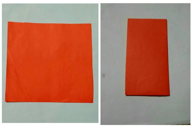 1667262538474.jpg