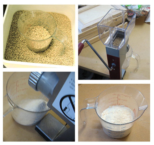 fresh ground wheat flour