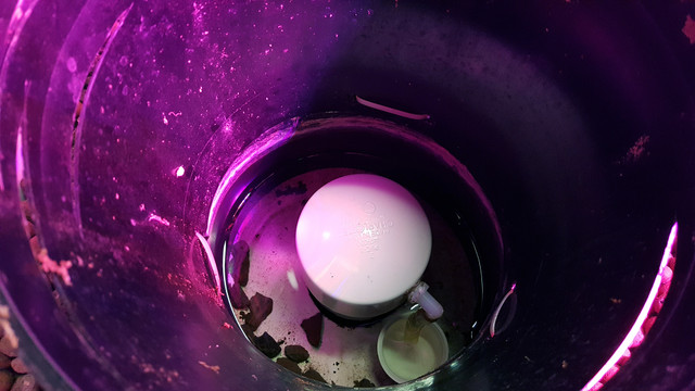 Bell Siphon.jpg