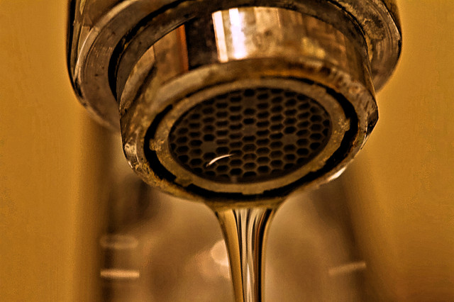MACRO04052018.jpg