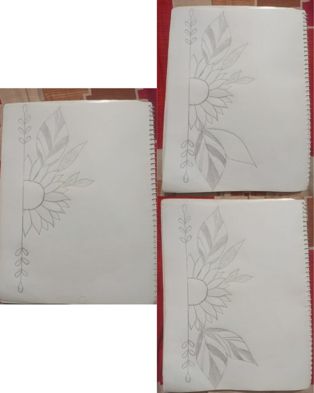 1702316198016.jpg