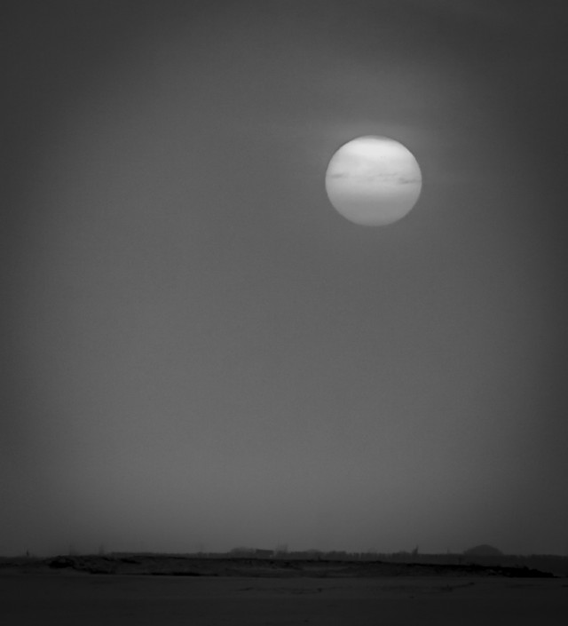 DSC05692-Edit.jpg