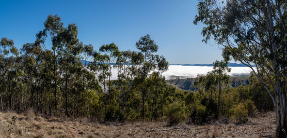 A1V06868-Pano.jpg
