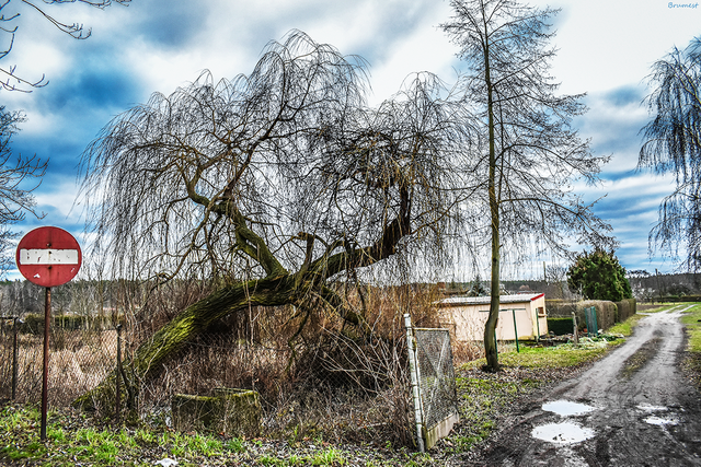 DSC_3671-2-WE.png