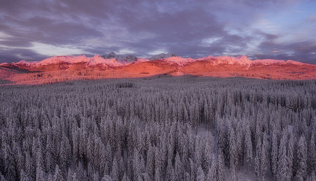 dron-pokljuka.jpg