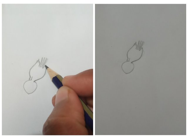 1667060028976.jpg