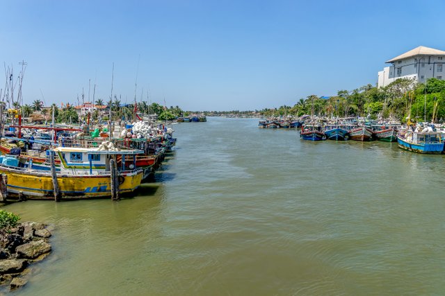 _DSC9356-Edit.JPG