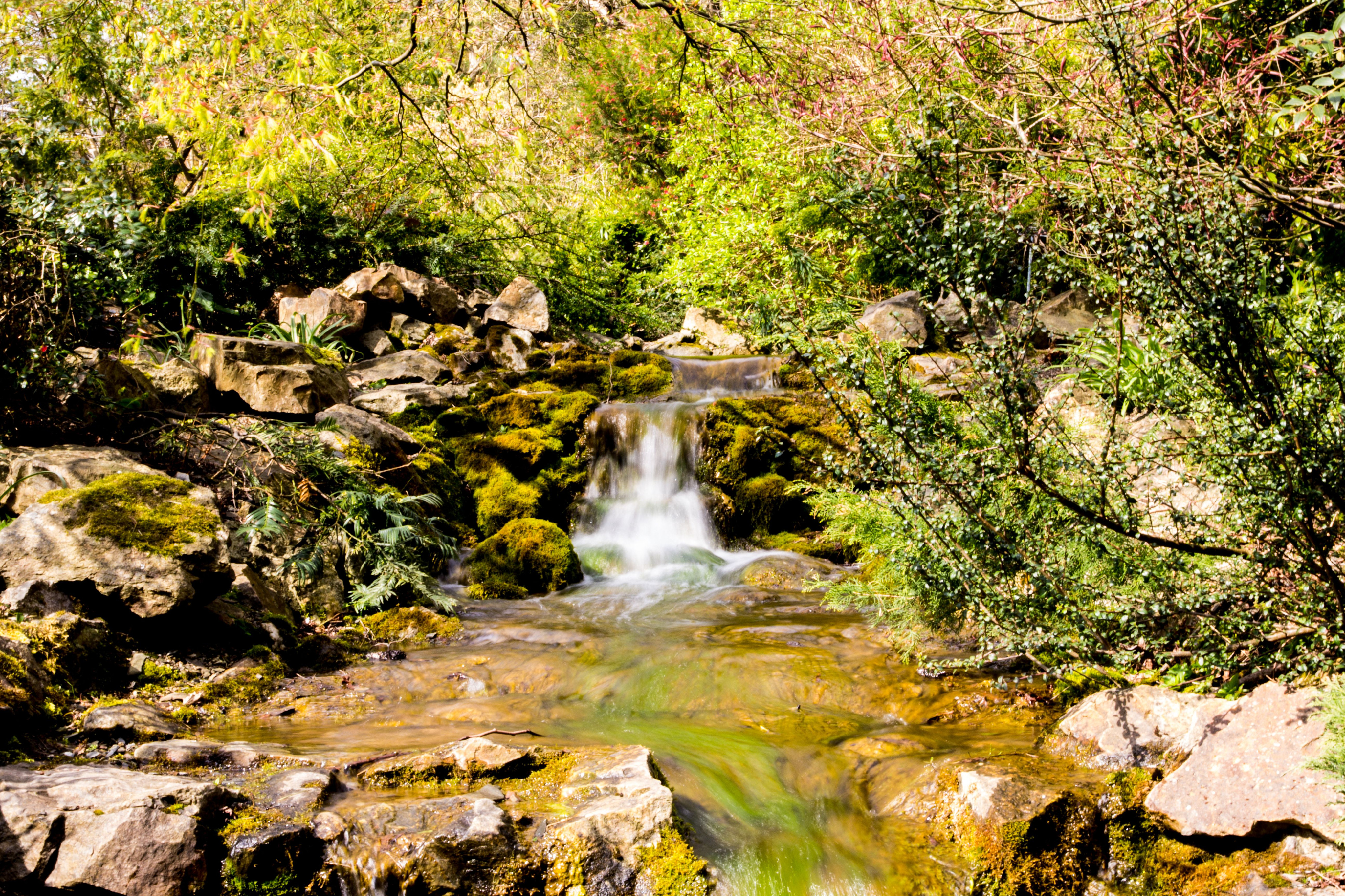 main_image