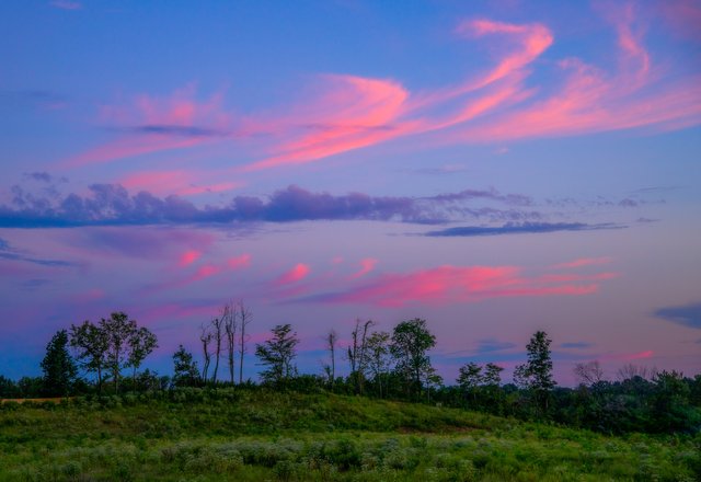 DSC_5308-Edit.jpg