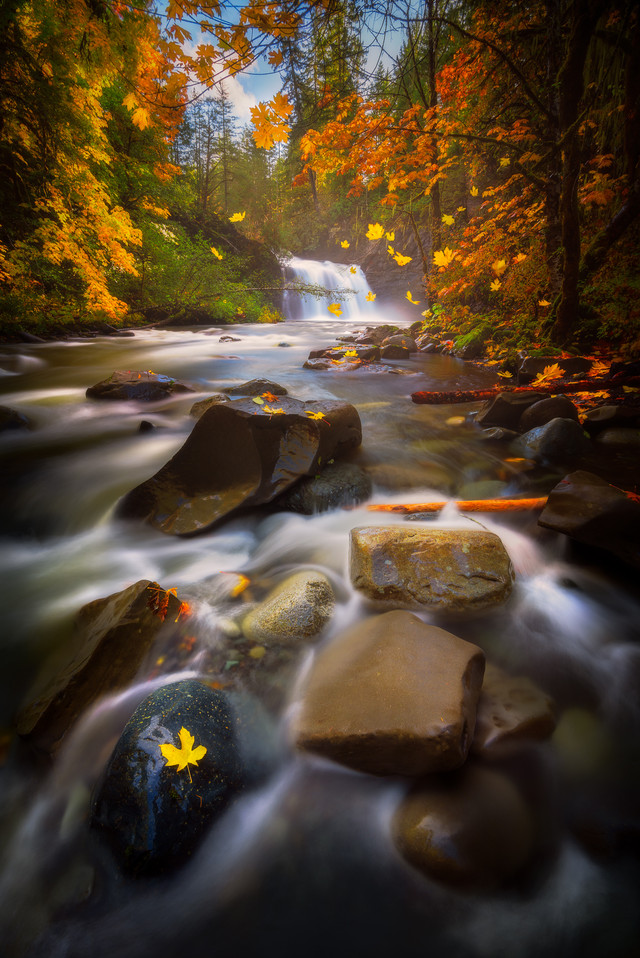 Trent River Falls