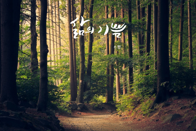 1682140934742.png