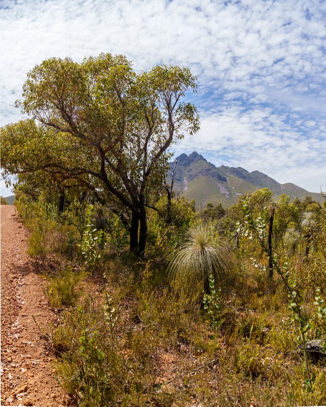 Scenic Stirling Ranges — Steemit