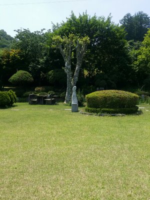 1528008325418.jpg