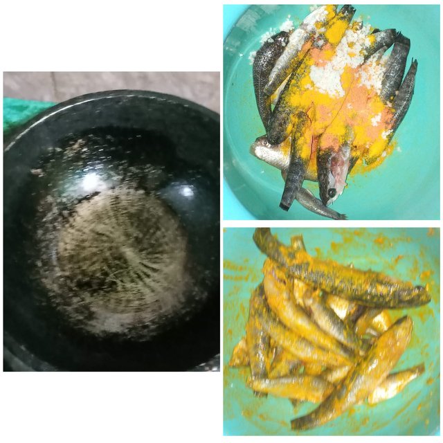 1709394801486.jpg