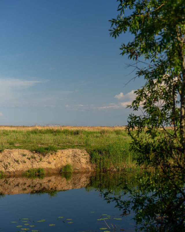 DSC05167-Pano.jpg